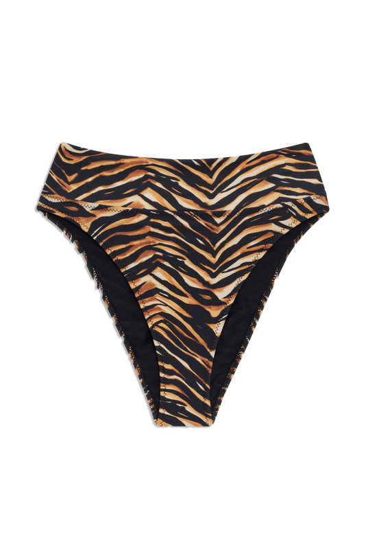 High Kick Brief in Tigre